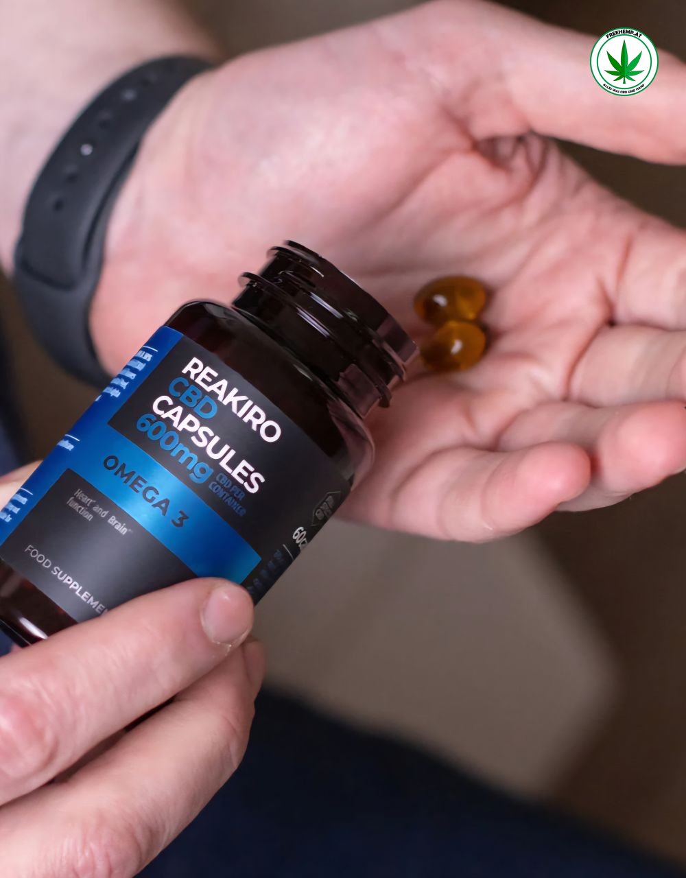 Omega3 CBD Kapsel 600mg/60St Omega3 CBD Kapsel 600mg/60St
