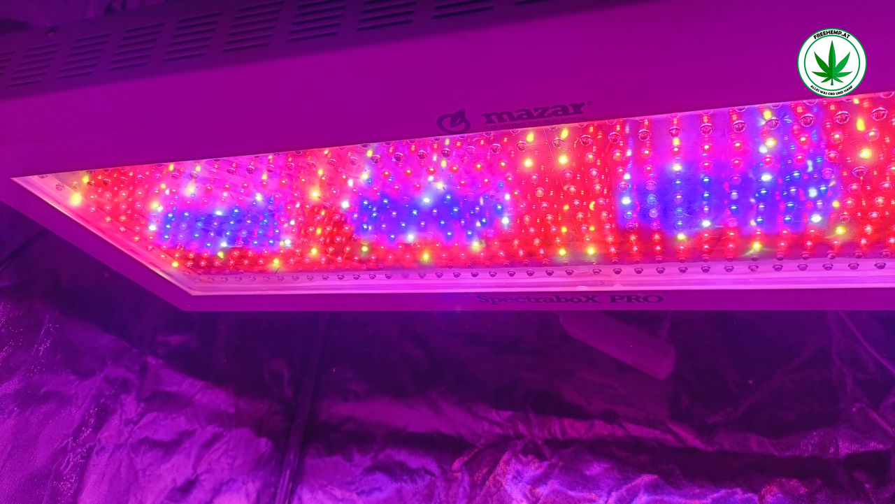 Mazar 600W LED multispectrum lámpa