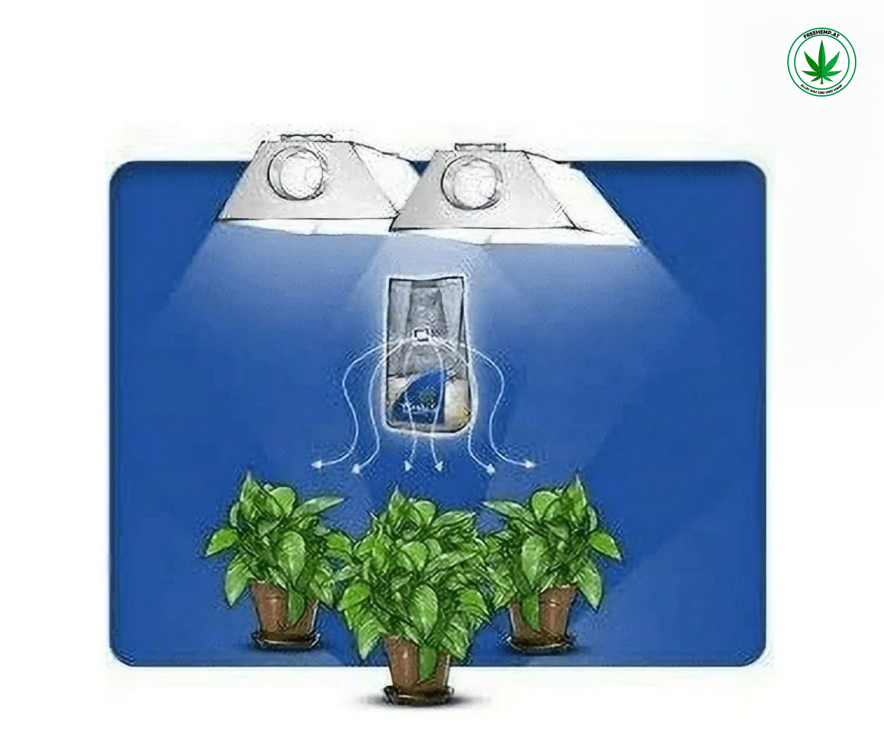 The Exhale Homegrown CO₂ Beutel – Natürliche CO₂-Quelle für Pflanzen