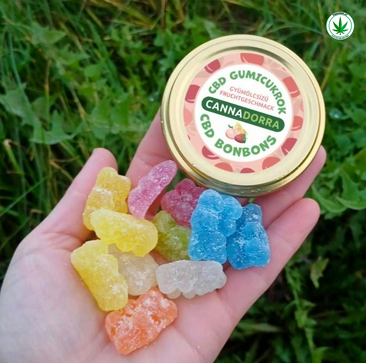 CBD Fruchtgummis – 500 mg CBD (20 Stück) CBD Fruchtgummis – 500 mg CBD (20 Stück)